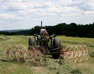 Coir Fiber