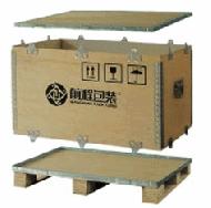 Plywood Case