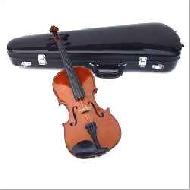 Violin Case