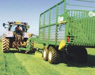 Coir Fiber