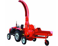 Coir Fiber