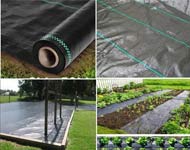 Coir Fiber