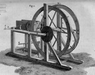 Coir Fiber