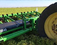 Coir Fiber