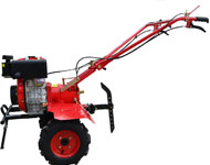 Coir Fiber