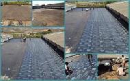 Coir Fiber