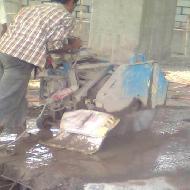 Coir Fiber