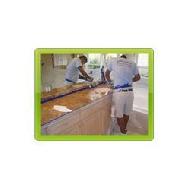 Coir Fiber