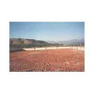 Coir Fiber