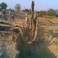Coir Fiber