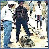 Coir Fiber