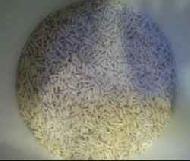 Coir Fiber