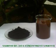Coir Fiber