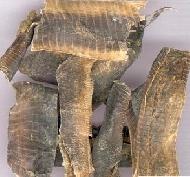 Coir Fiber