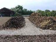 Coir Fiber