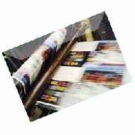 Coir Fiber