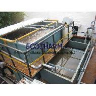 Coir Fiber