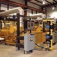 Coir Fiber