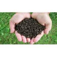 Coir Fiber