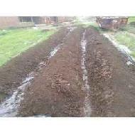 Coir Fiber