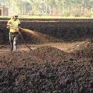 Coir Fiber