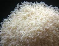 Coir Fiber