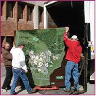 Coir Fiber