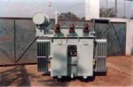 Coir Fiber