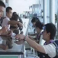 Coir Fiber