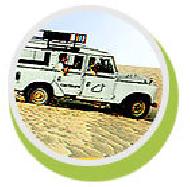 Coir Fiber
