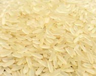 Coir Fiber