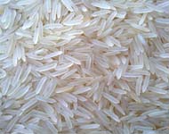 Coir Fiber