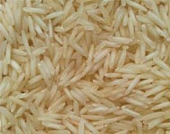 Coir Fiber