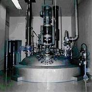 Coir Fiber