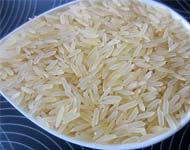 Coir Fiber