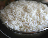 Coir Fiber