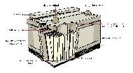 Coir Fiber