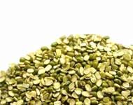 Coir Fiber
