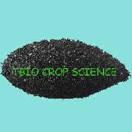 Coir Fiber