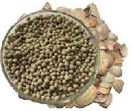 Coir Fiber