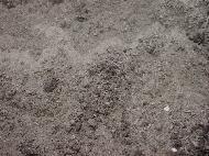 Coir Fiber