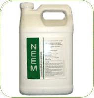 Coir Fiber