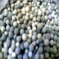 Coir Fiber
