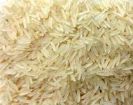Coir Fiber