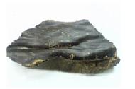 Coir Fiber
