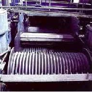 Coir Fiber