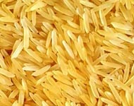 Coir Fiber