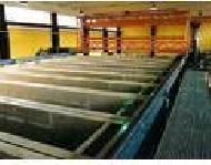 Coir Fiber