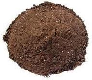 Coir Fiber