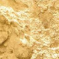 Coir Fiber